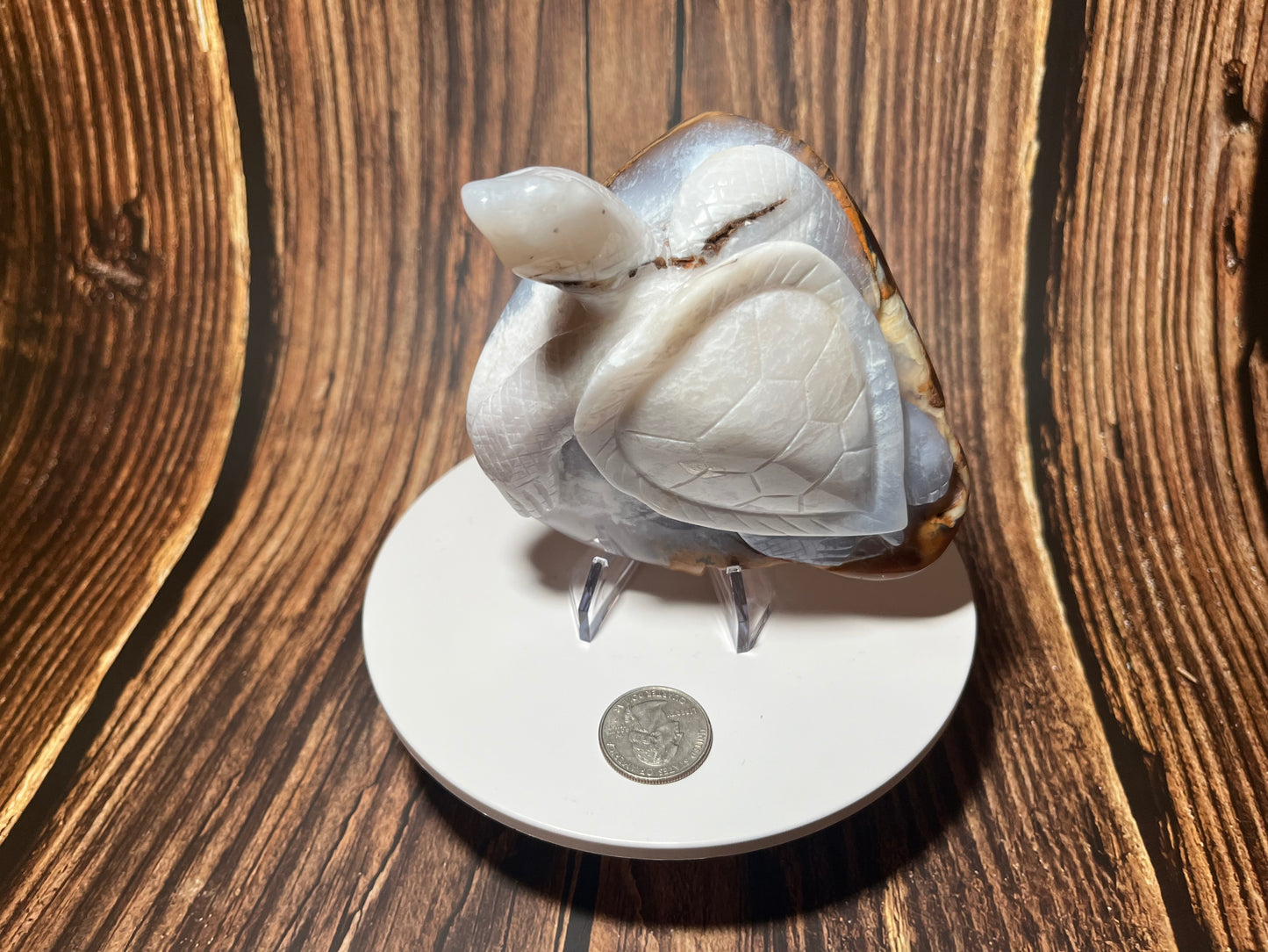 Agate Sea Turtle Carving
